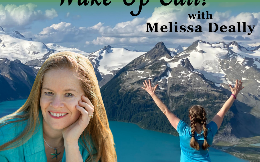 "dont wait for your wake up call with melissa deally"